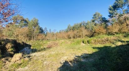 Farm land in Sopo of 1,023 m²