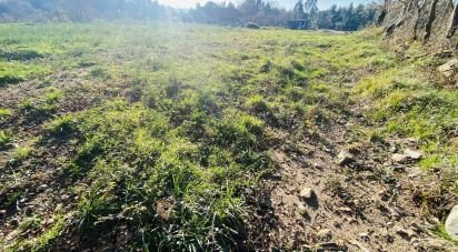 Farm land in Sopo of 1,023 m²