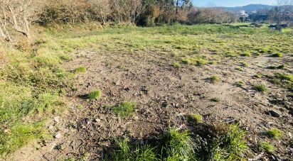 Farm land in Sopo of 1,023 m²
