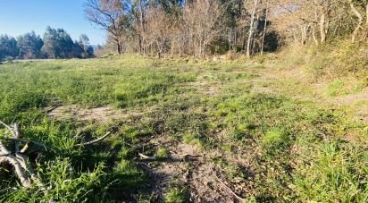 Farm land in Sopo of 1,023 m²
