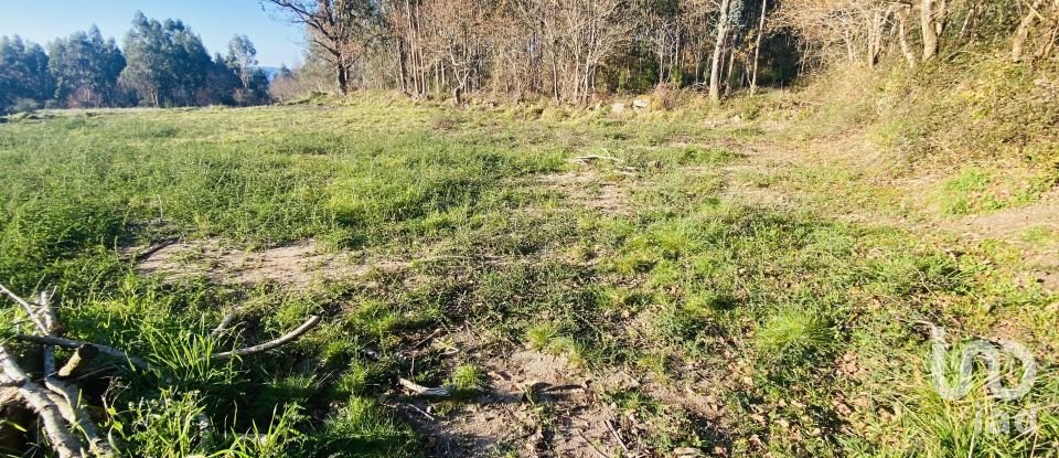Farm land in Sopo of 1,023 m²
