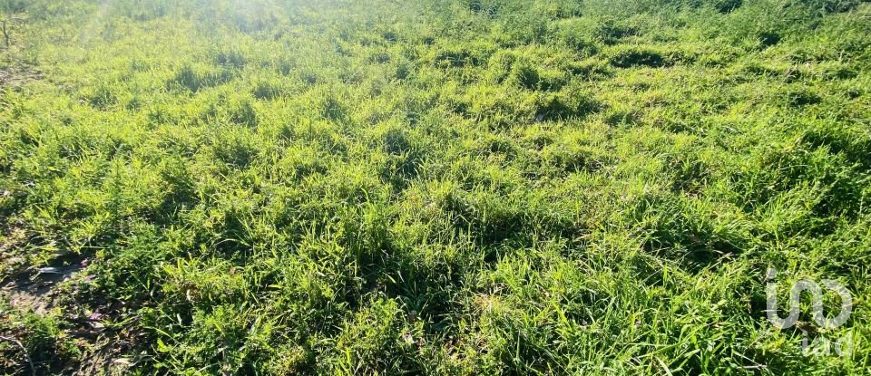 Farm land in Sopo of 1,023 m²