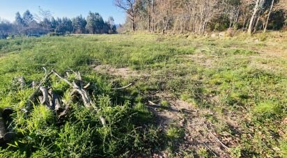 Farm land in Sopo of 1,023 m²