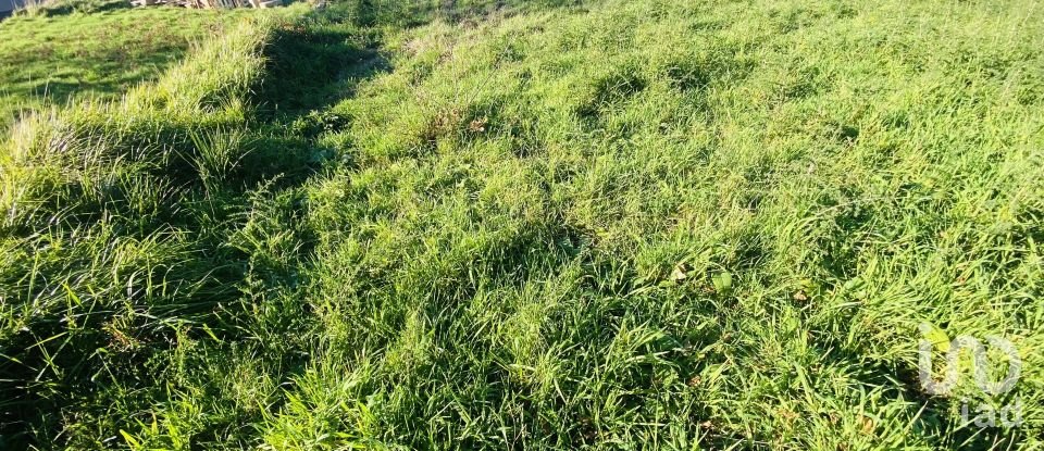 Farm land in Sopo of 1,023 m²