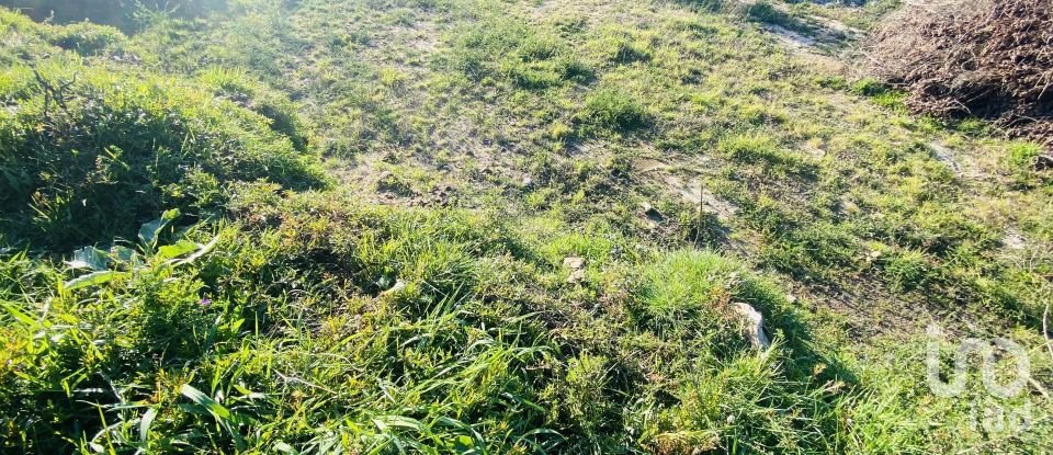 Farm land in Sopo of 1,023 m²