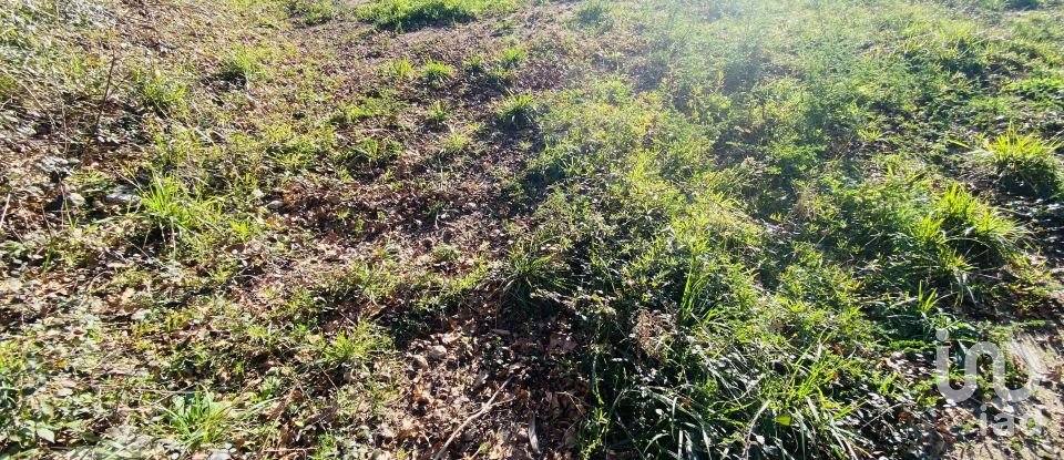 Farm land in Sopo of 1,023 m²