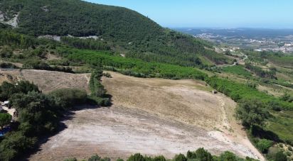 Land in Lamas e Cercal of 22,000 m²
