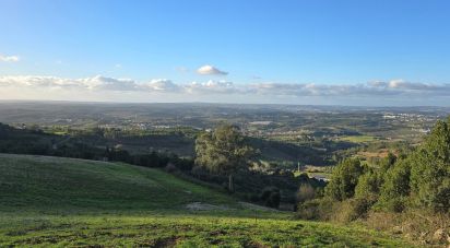 Land in Lamas e Cercal of 22,000 m²