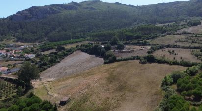 Land in Lamas e Cercal of 22,000 m²
