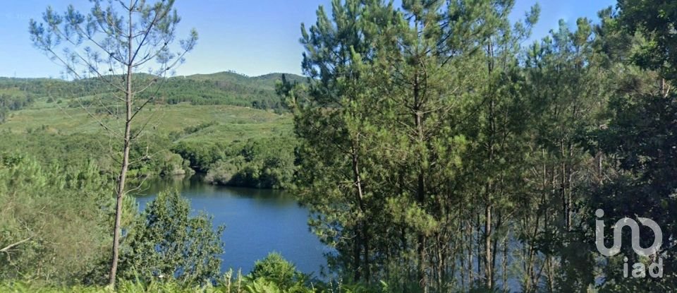 Terreno em Entre Ambos-Os-Rios, Ermida e Germil de 921 m²