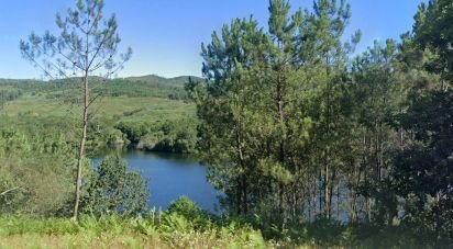 Terrain à Entre Ambos-Os-Rios, Ermida e Germil de 719 m²