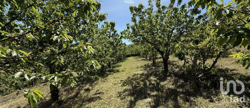 Casa de Campo T4 em Gestaçô de 465 m²