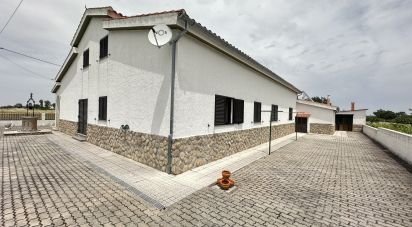 House T4 in São Pedro de Rio Seco of 224 m²
