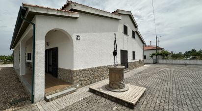 House T4 in São Pedro de Rio Seco of 224 m²
