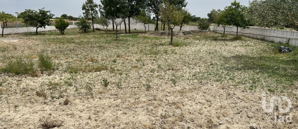 House T4 in São Pedro de Rio Seco of 224 m²