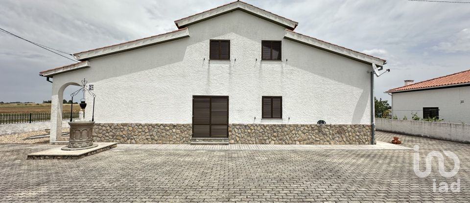 House T4 in São Pedro de Rio Seco of 224 m²
