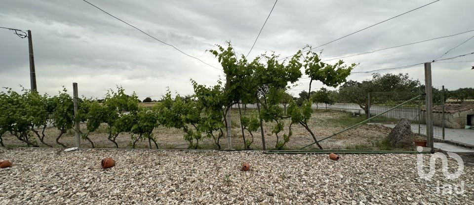 House T4 in São Pedro de Rio Seco of 224 m²