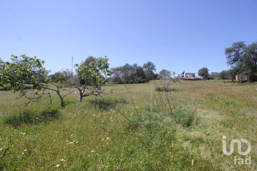 Terrain à Ferreiras de 18 400 m²