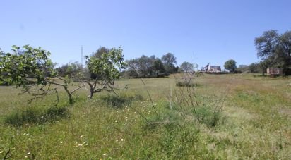 Terrain à Ferreiras de 18 400 m²