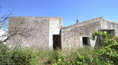 Terrain à Ferreiras de 18 400 m²