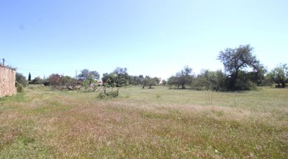 Terrain à Ferreiras de 18 400 m²