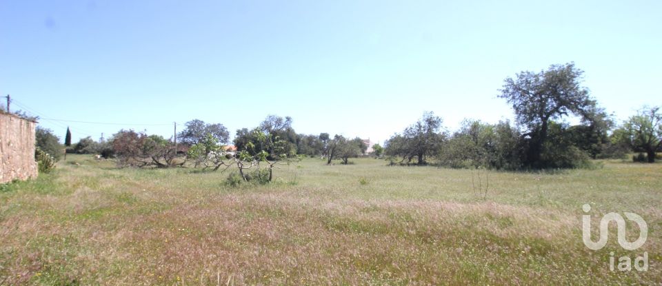 Terrain à Ferreiras de 18 400 m²