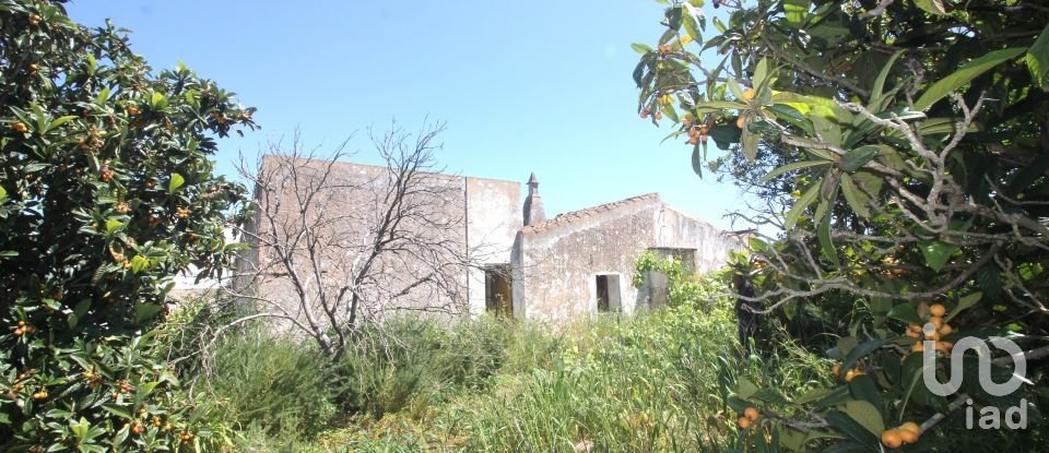 Terrain à Ferreiras de 18 400 m²