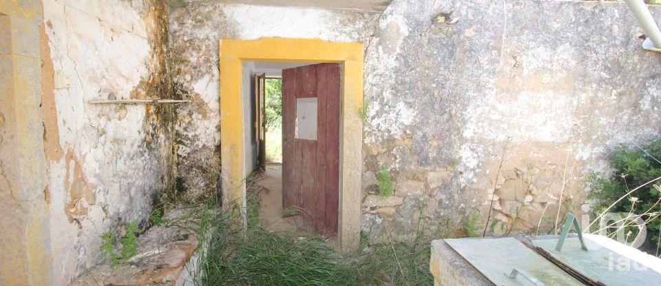 Terrain à Ferreiras de 18 400 m²