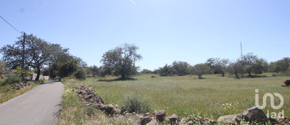 Terrain à Ferreiras de 18 400 m²
