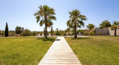 Appartement T0 à Estômbar e Parchal de 19 m²