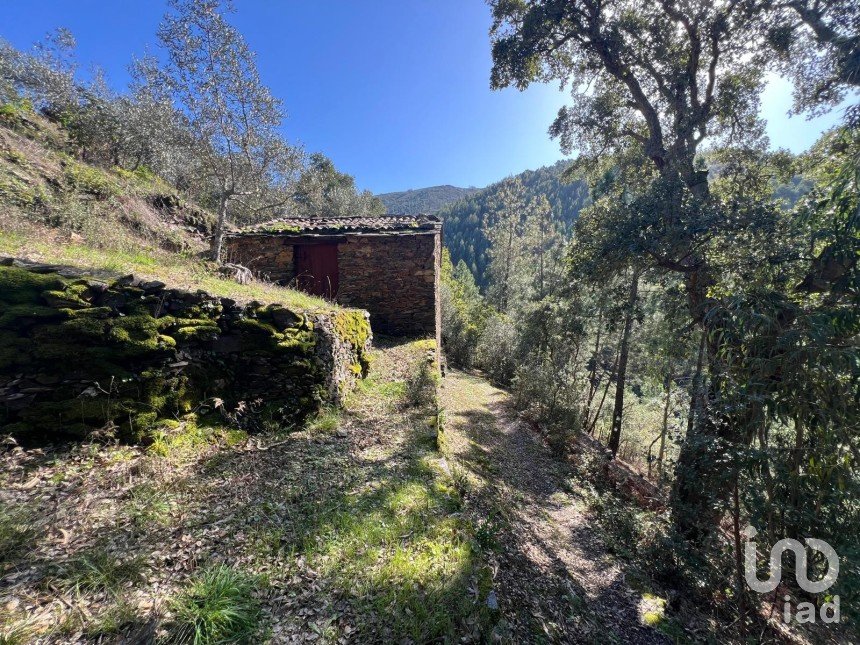 Moradia T0 em Celavisa de 57 m²