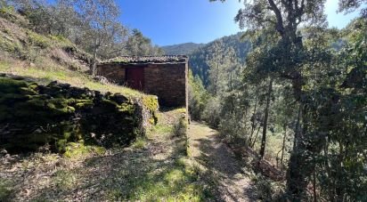 Maison T0 à Celavisa de 57 m²