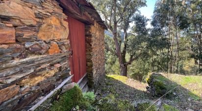 Maison T0 à Celavisa de 57 m²