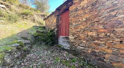 Maison T0 à Celavisa de 57 m²