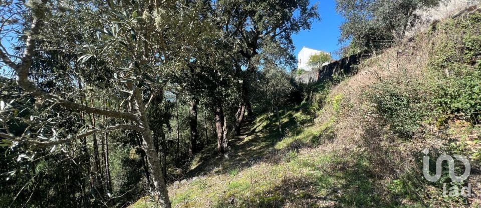 Moradia T0 em Celavisa de 57 m²