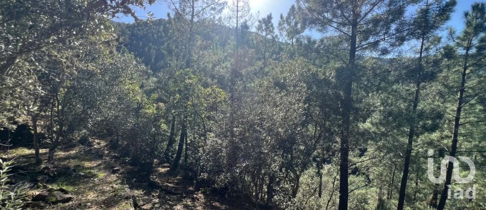 Moradia T0 em Celavisa de 57 m²