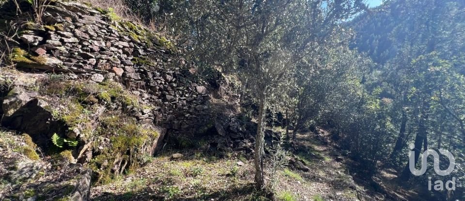 Moradia T0 em Celavisa de 57 m²