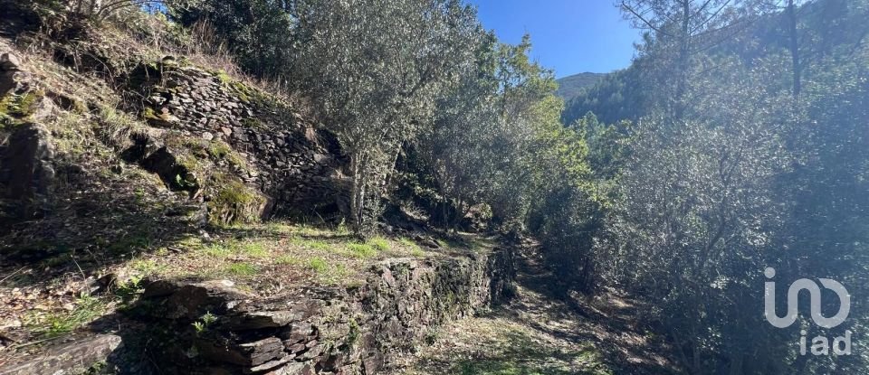 Moradia T0 em Celavisa de 57 m²