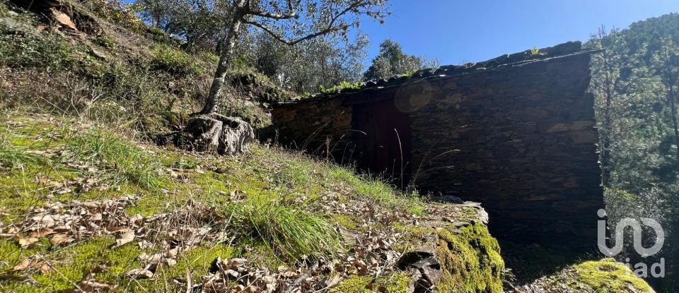 Moradia T0 em Celavisa de 57 m²