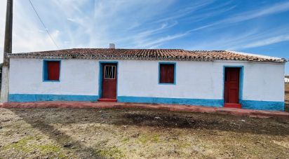 Terrain à Ferreira do Alentejo e Canhestros de 36 000 m²