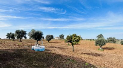 Terrain à Ferreira do Alentejo e Canhestros de 36 000 m²