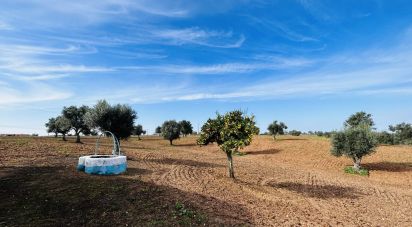 Terrain à Ferreira do Alentejo e Canhestros de 36 000 m²
