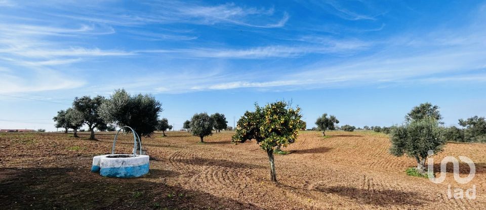 Terreno em Ferreira do Alentejo e Canhestros de 36 000 m²
