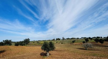 Terrain à Ferreira do Alentejo e Canhestros de 36 000 m²
