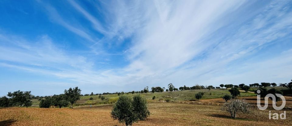 Terreno em Ferreira do Alentejo e Canhestros de 36 000 m²