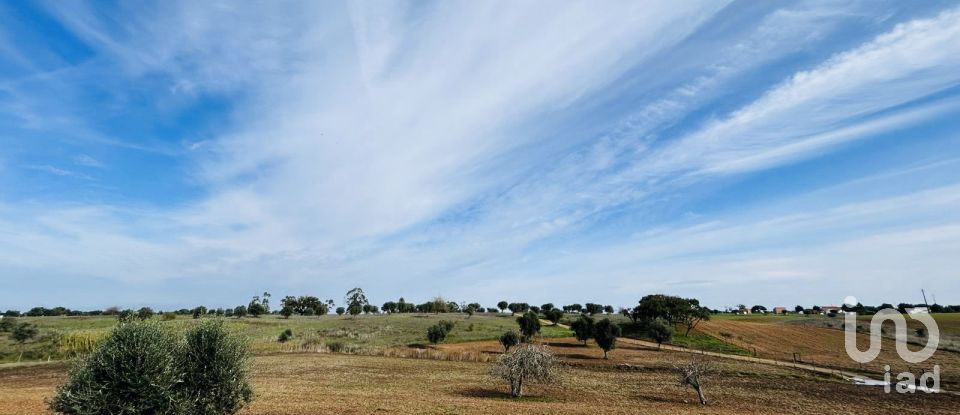 Terreno em Ferreira do Alentejo e Canhestros de 36 000 m²