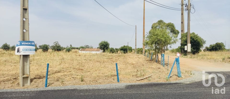 Terreno em Ferreira do Alentejo e Canhestros de 36 000 m²