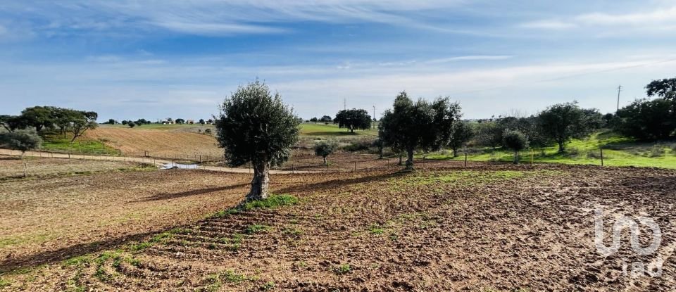 Terreno em Ferreira do Alentejo e Canhestros de 36 000 m²