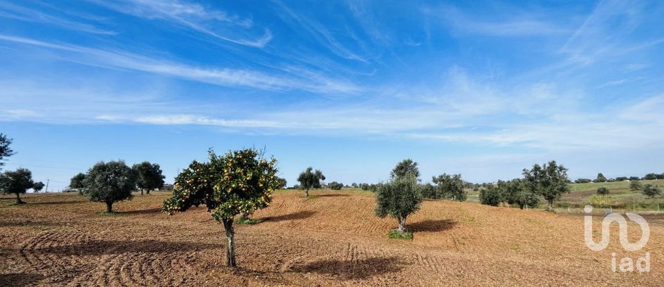 Terreno em Ferreira do Alentejo e Canhestros de 36 000 m²