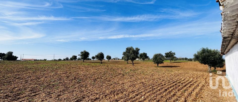 Terreno em Ferreira do Alentejo e Canhestros de 36 000 m²